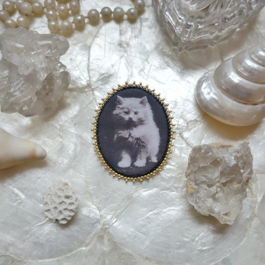 Broche chat