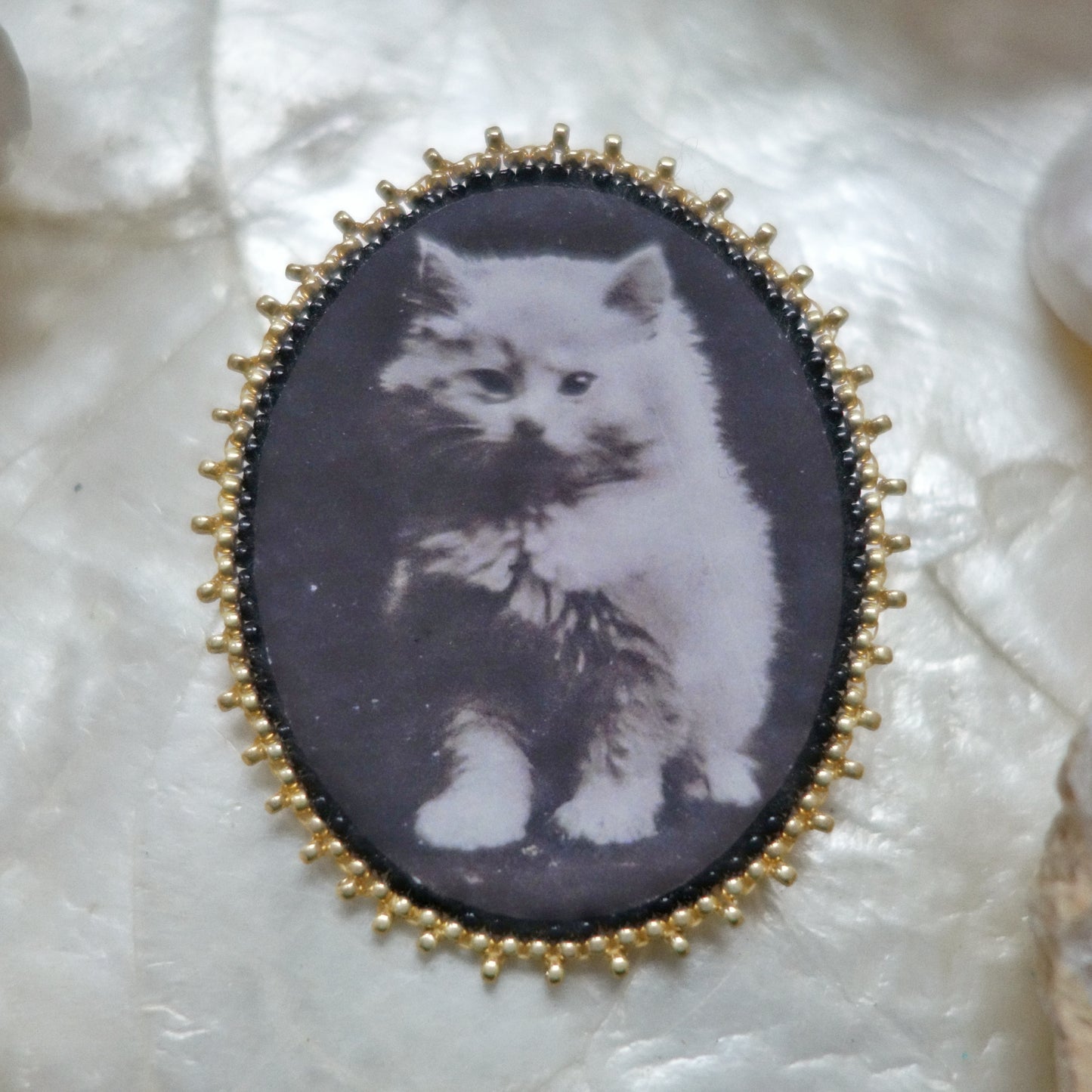 Broche chat