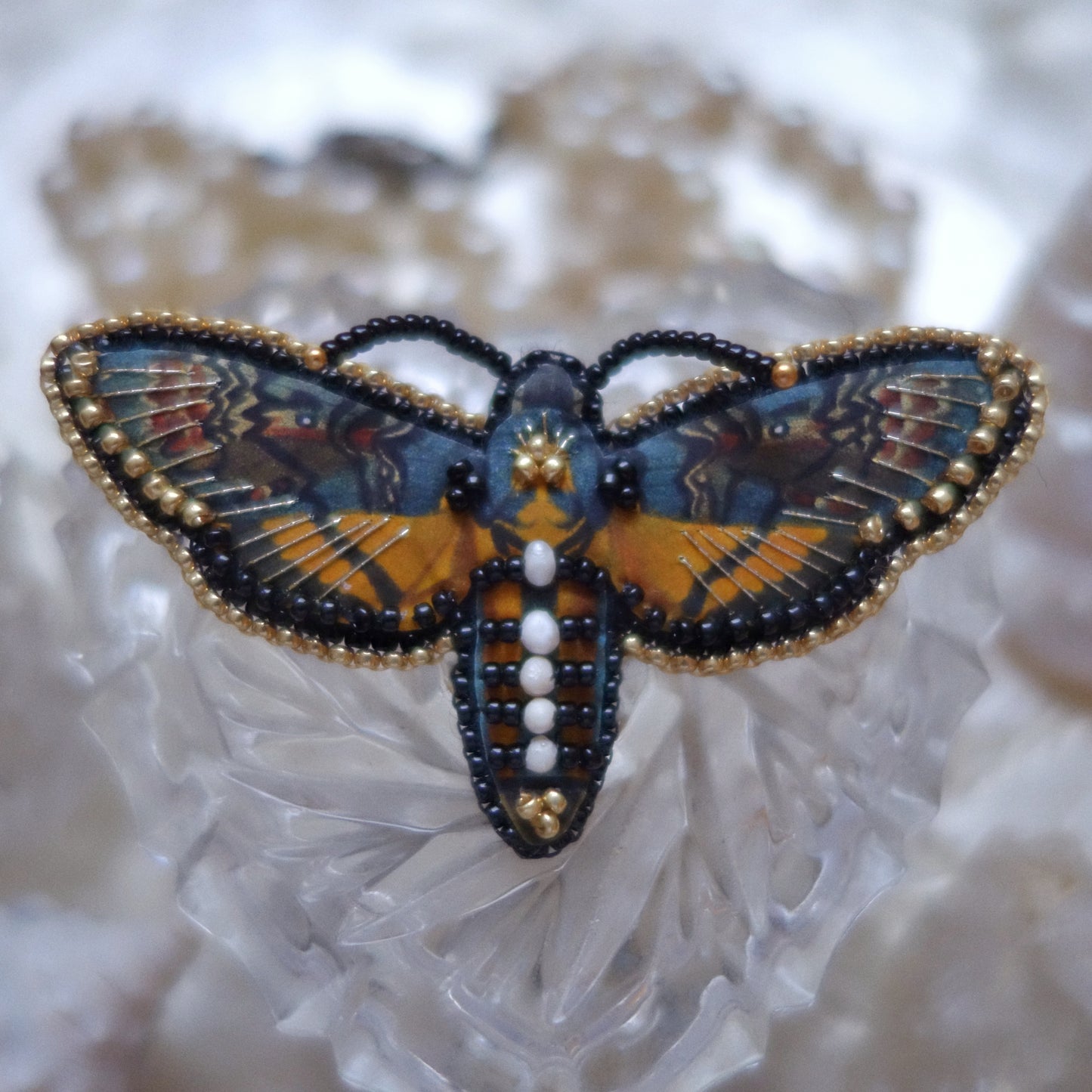 Broche papillon de nuit