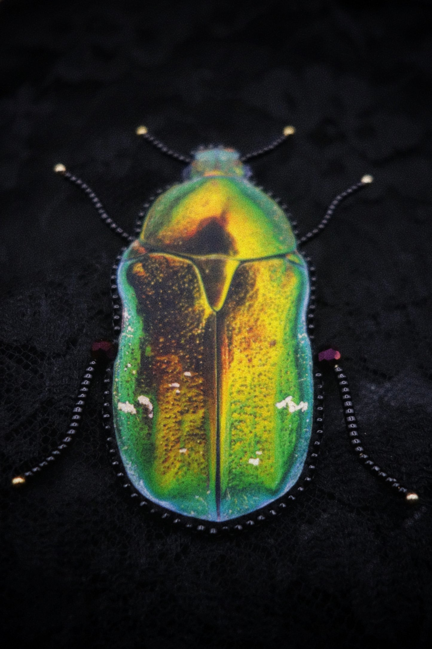 Broche scarabée