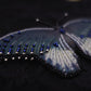 Broche papillon