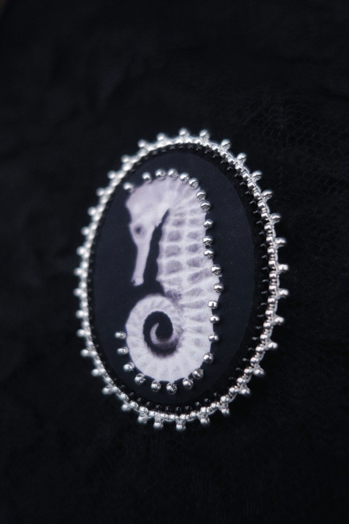 Broche hippocampe