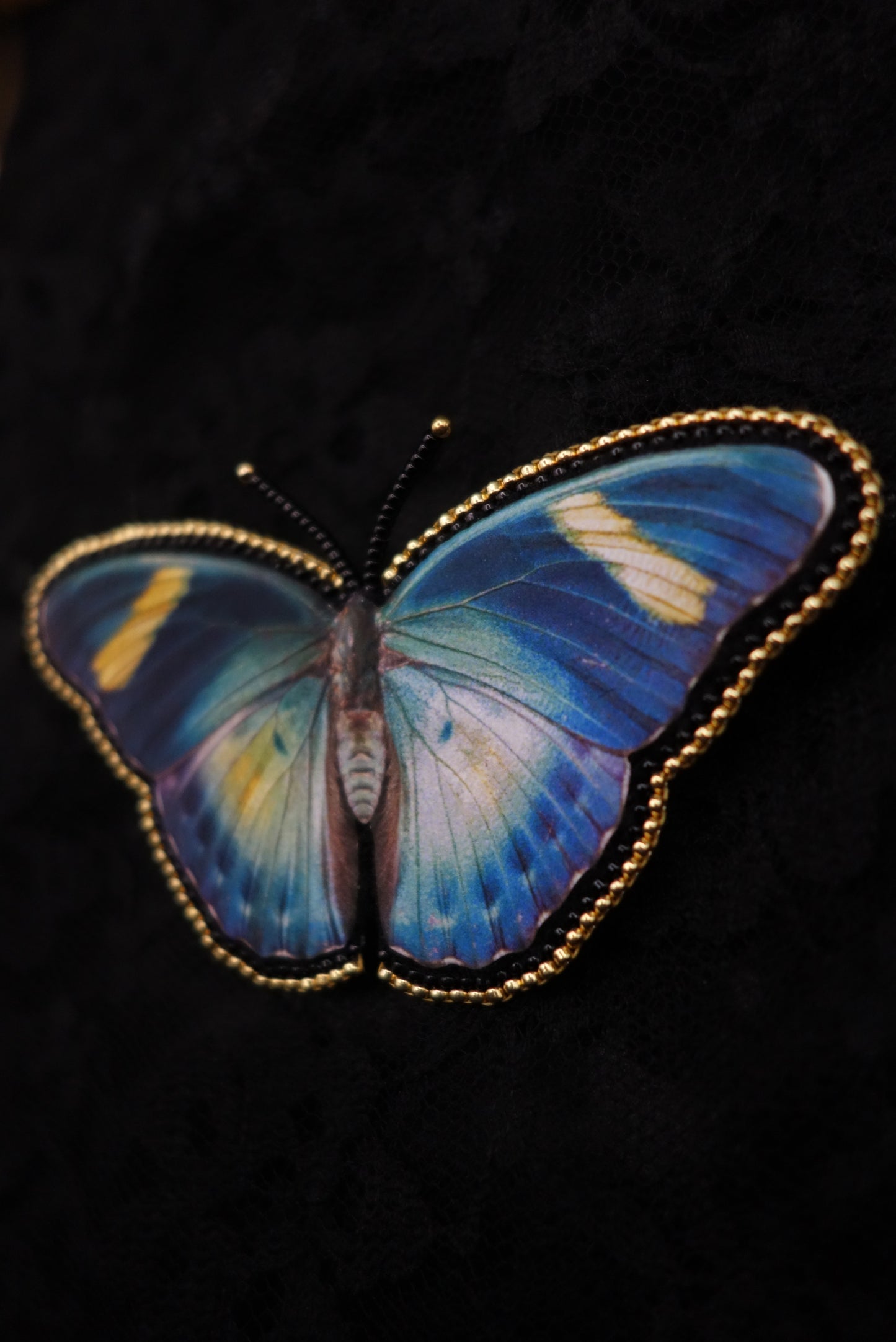 Broche papillon