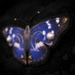 Broche papillon