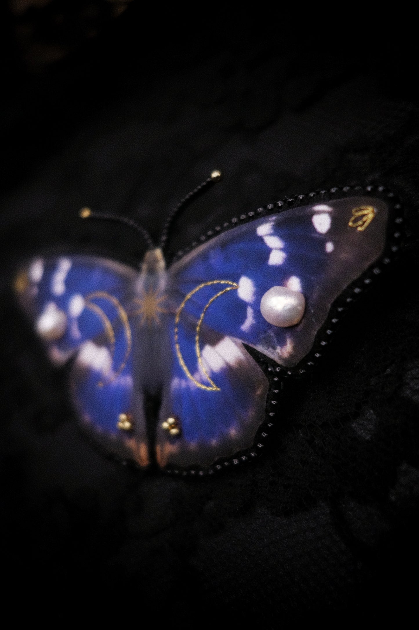 Broche papillon