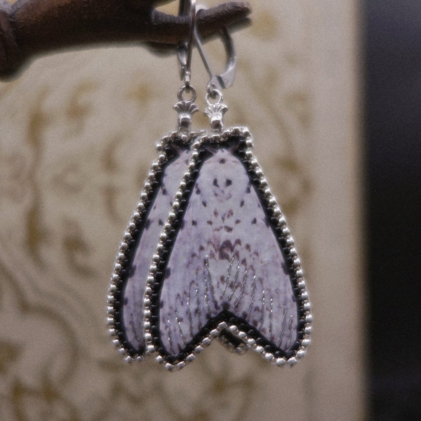 Boucles papillon