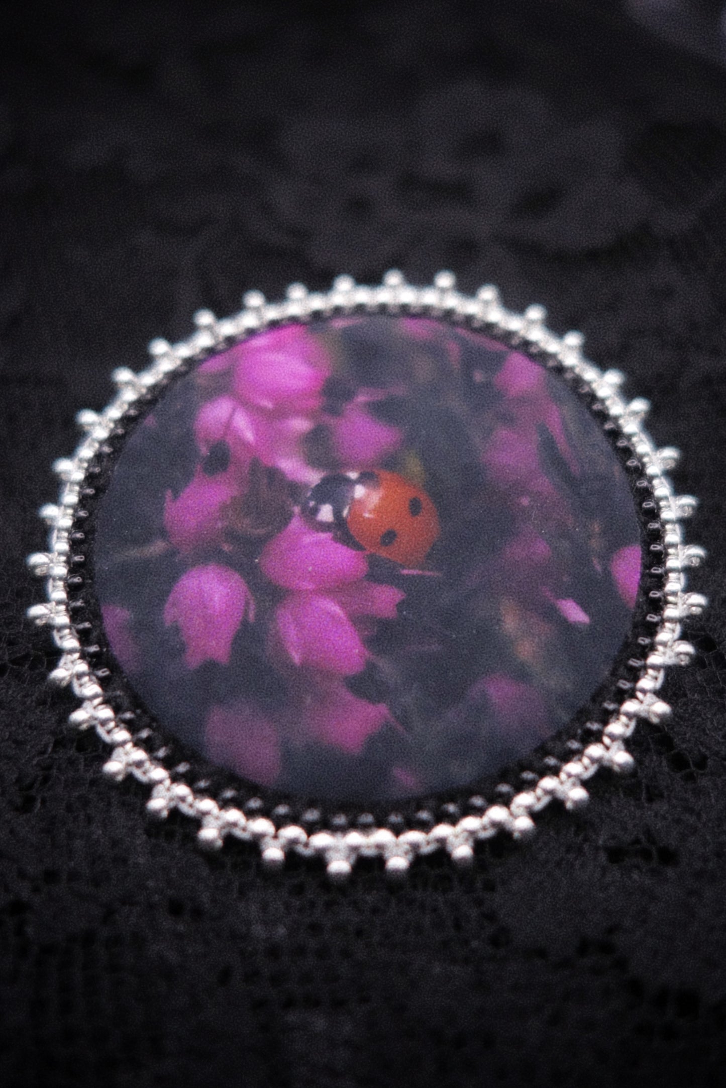 Broche coccinelle