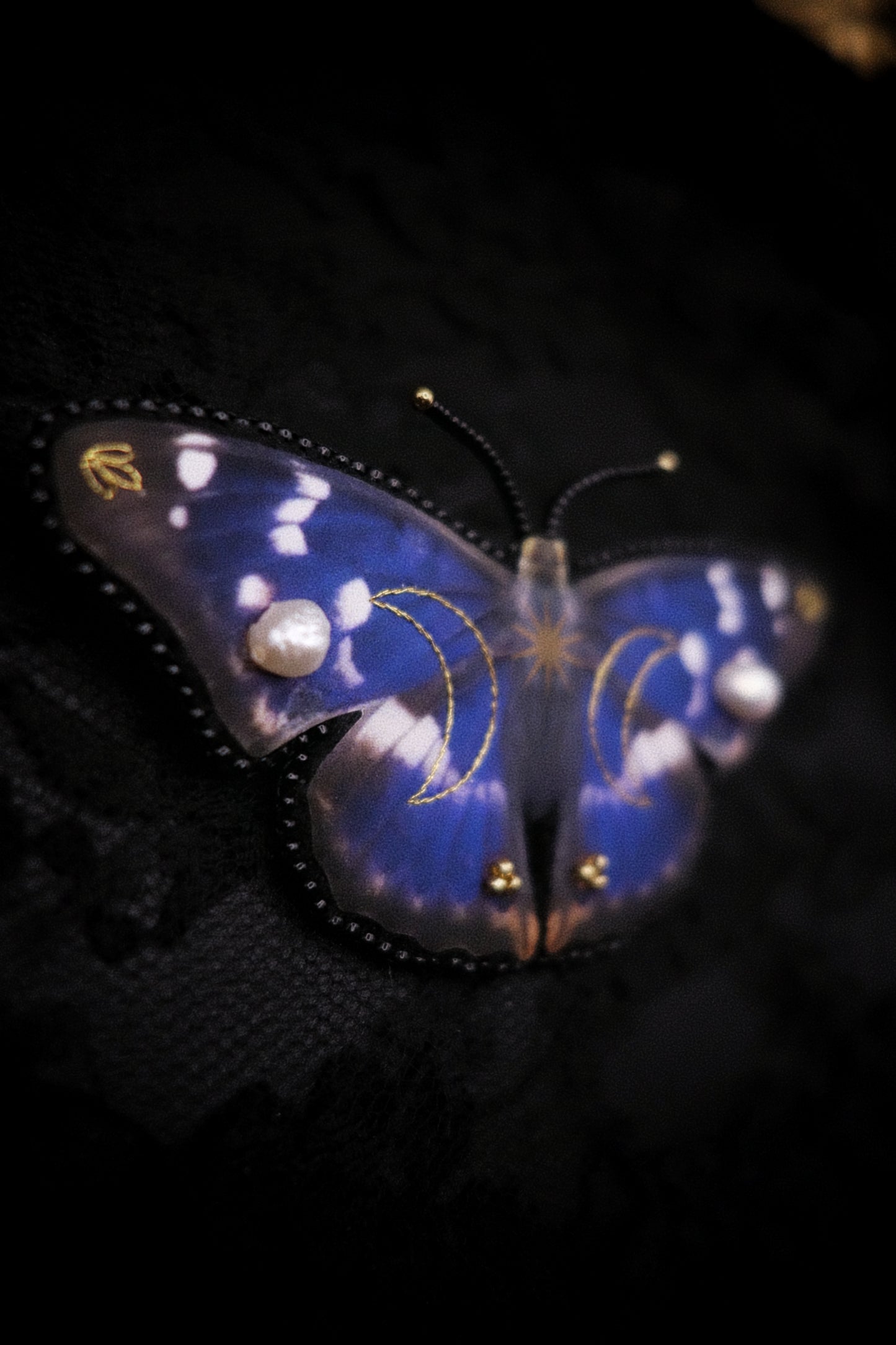 Broche papillon