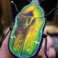 Broche scarabée