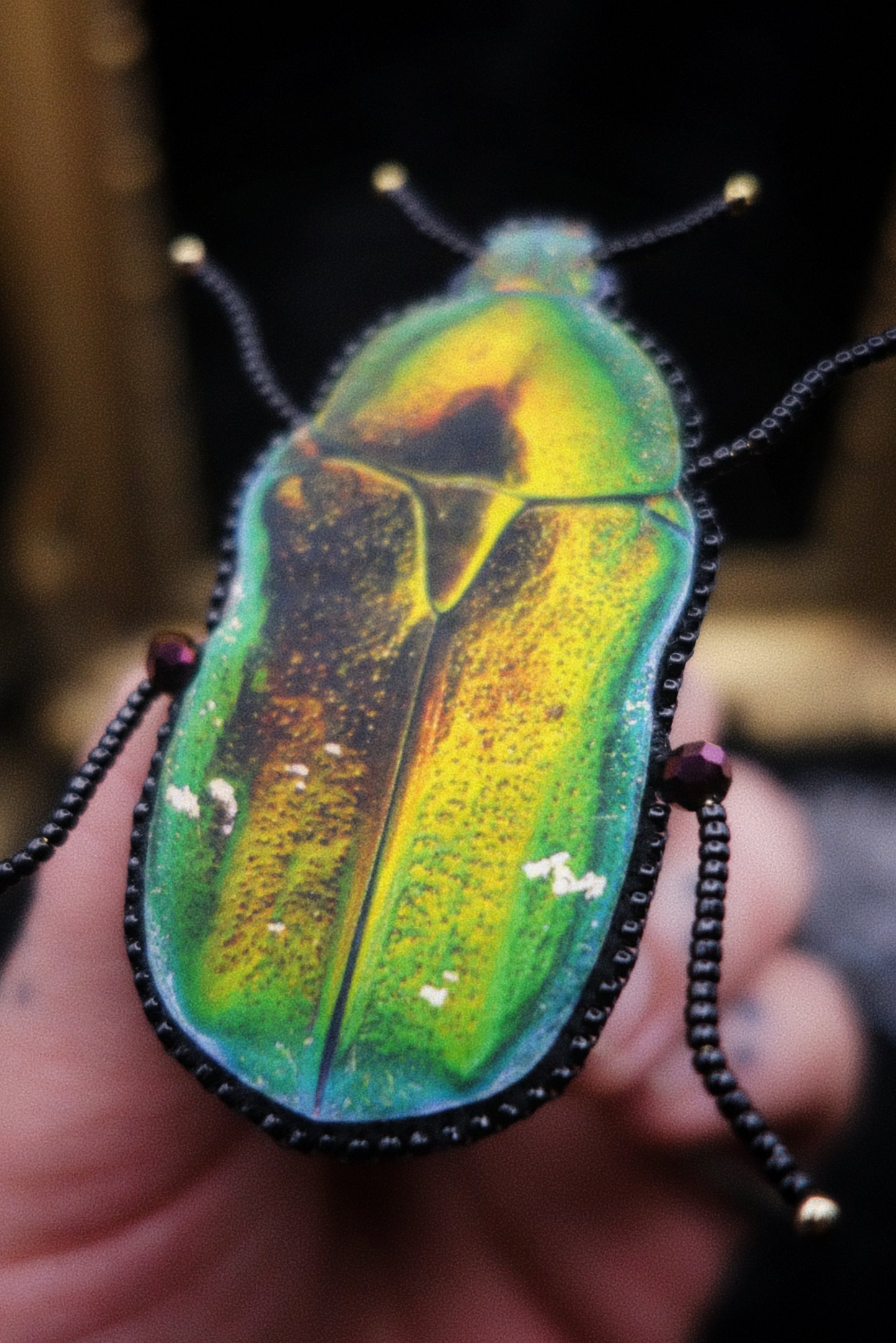 Broche scarabée