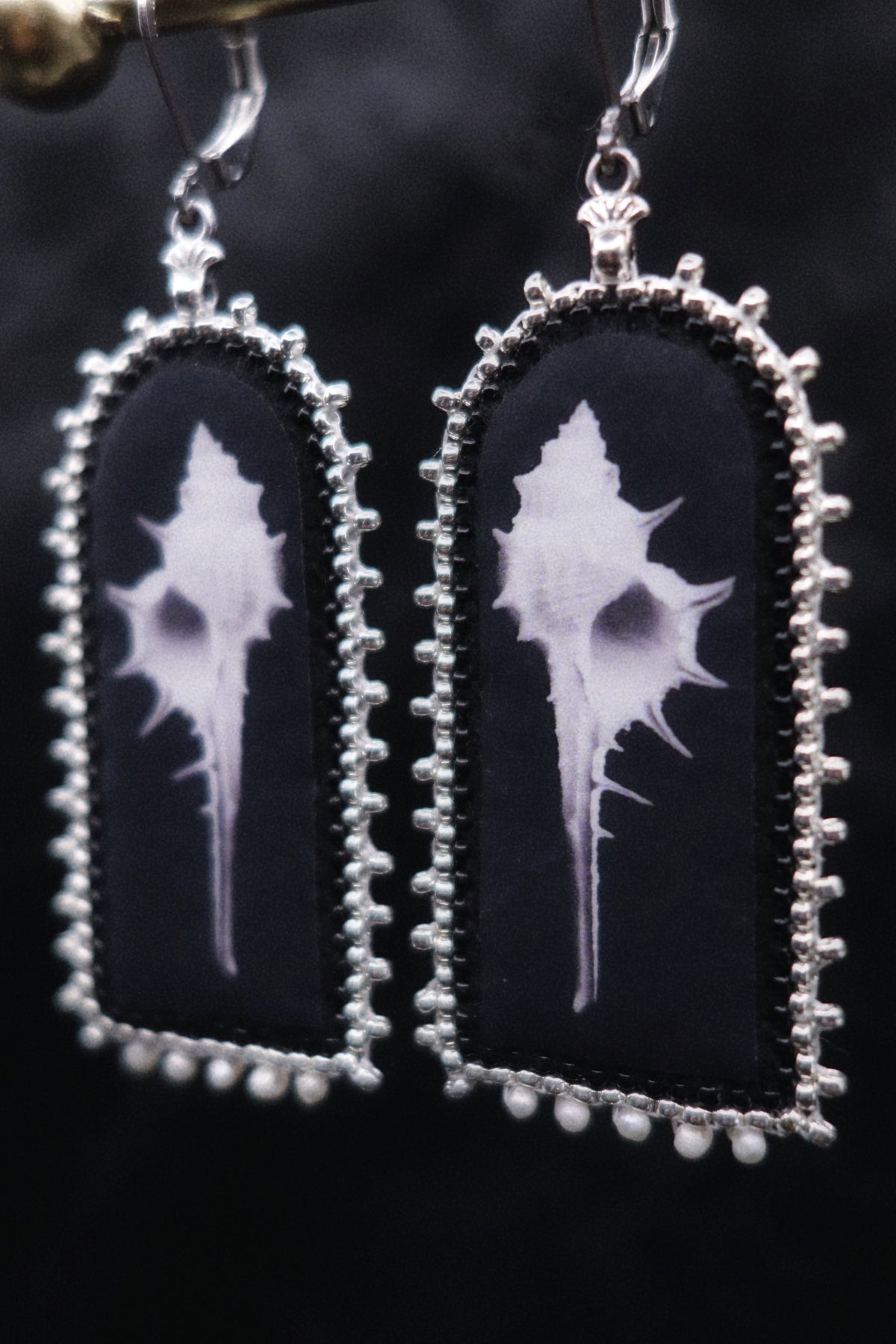 Boucles coquillages