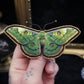 Broche papillon