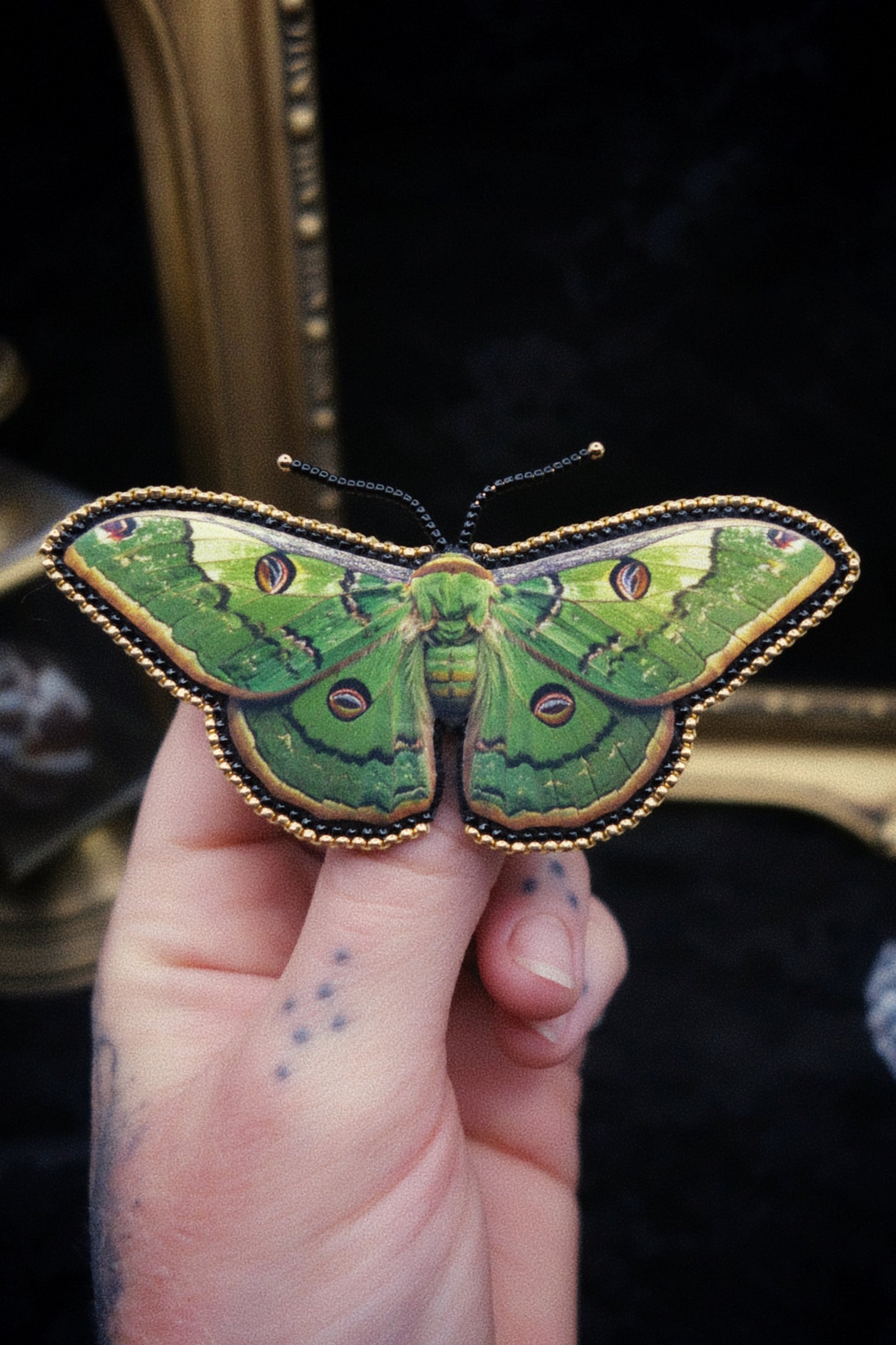 Broche papillon
