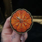 Broche citrouille