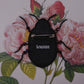 Broche scarabée