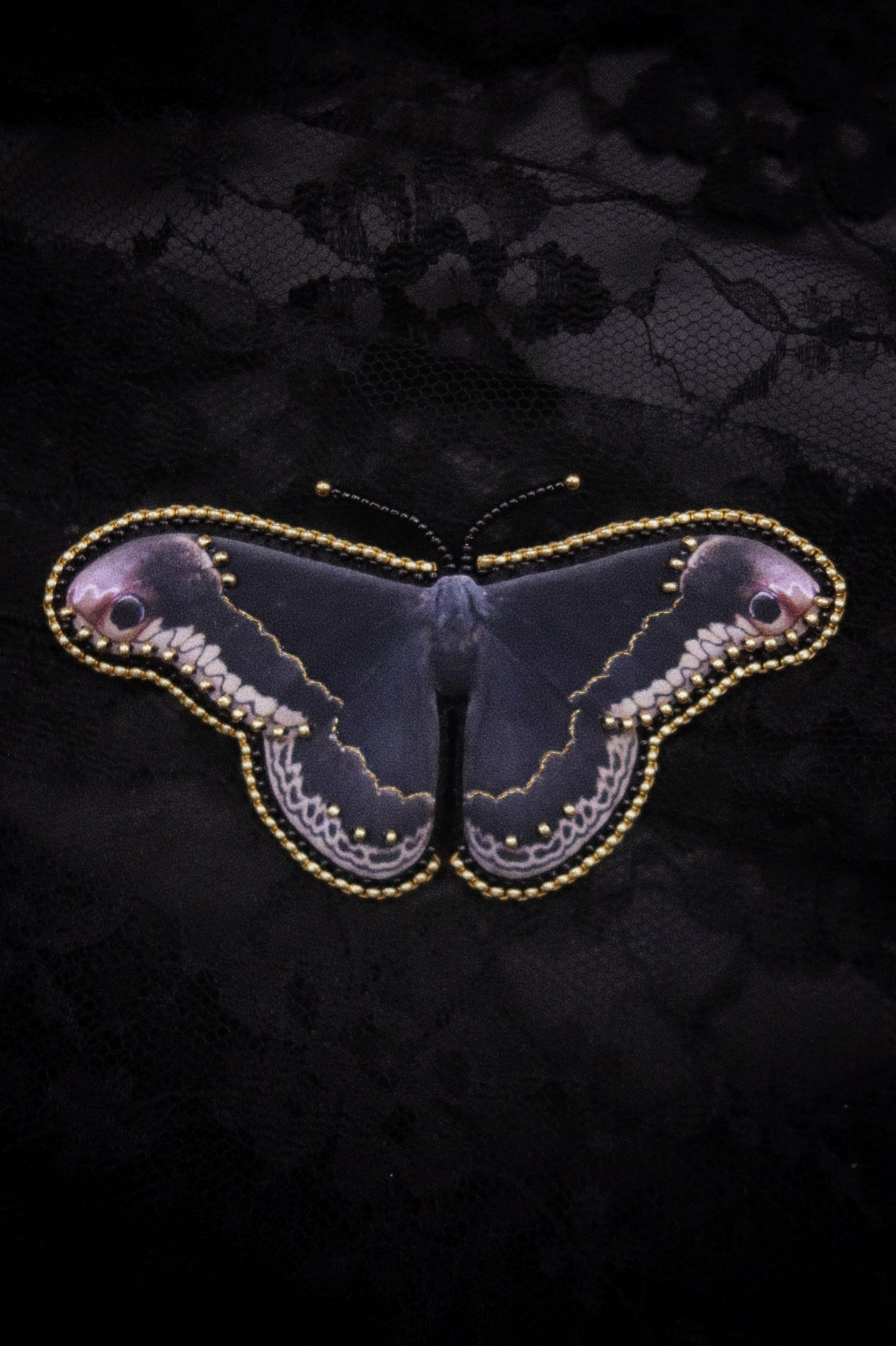 Broche papillon
