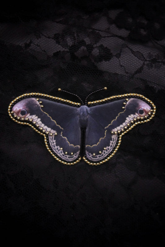 Broche papillon