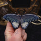 Broche papillon