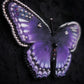 Broche papillon