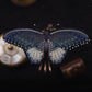 Broche papillon