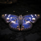 Broche papillon