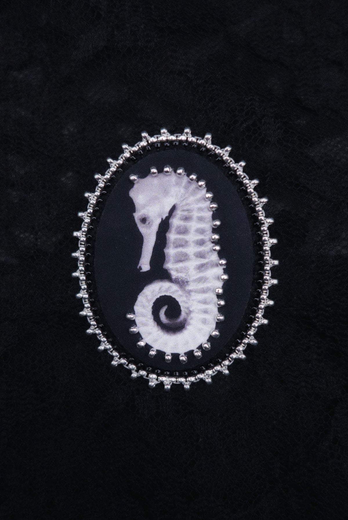 Broche hippocampe