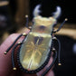 Broche scarabée