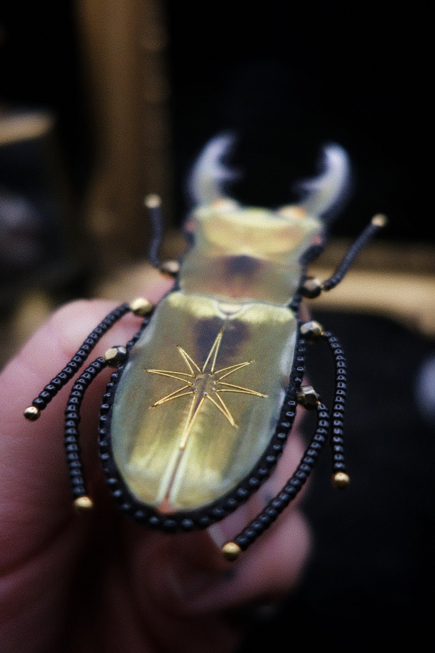 Broche scarabée