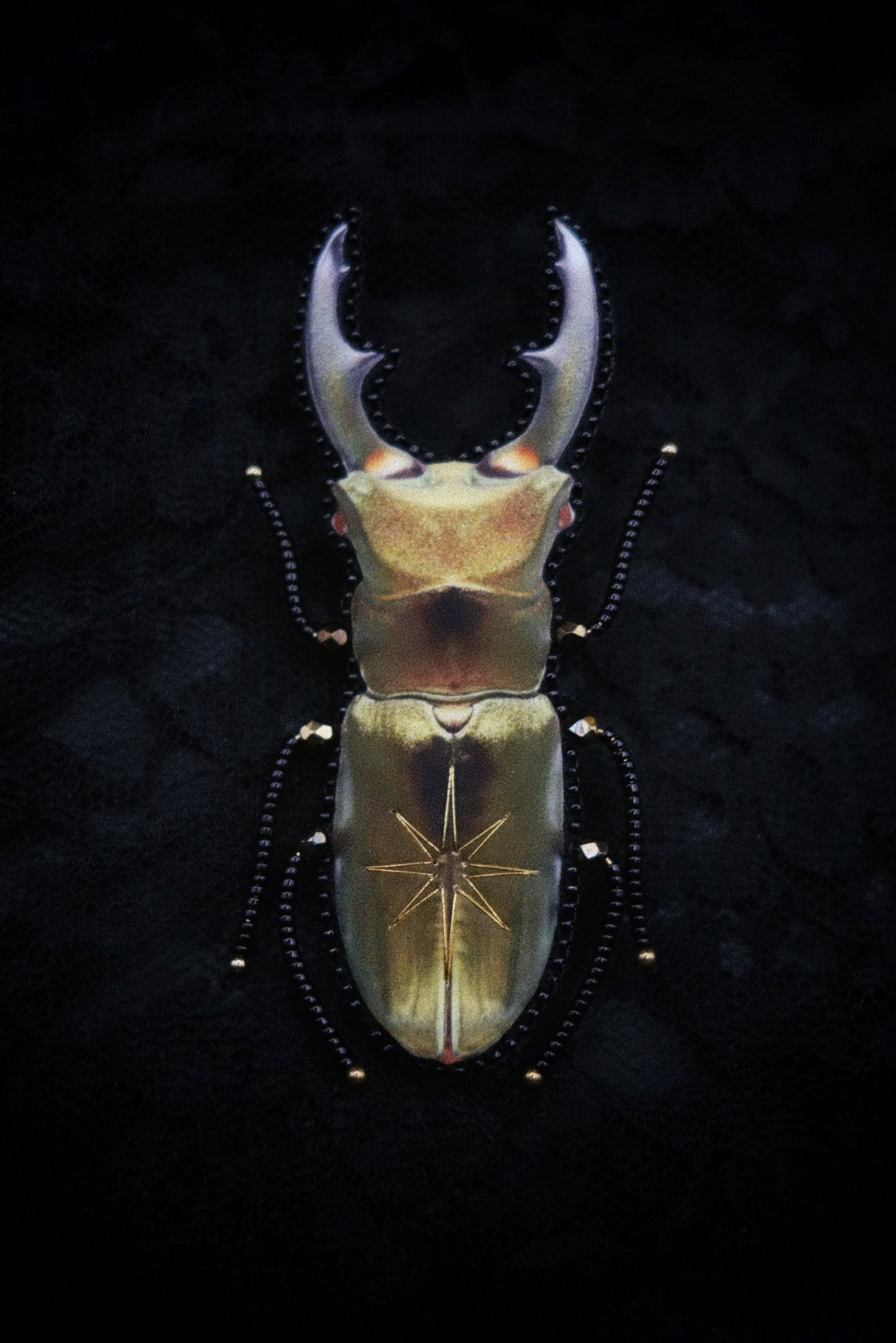 Broche scarabée