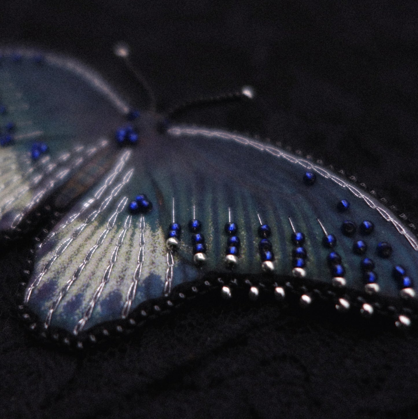 Broche papillon