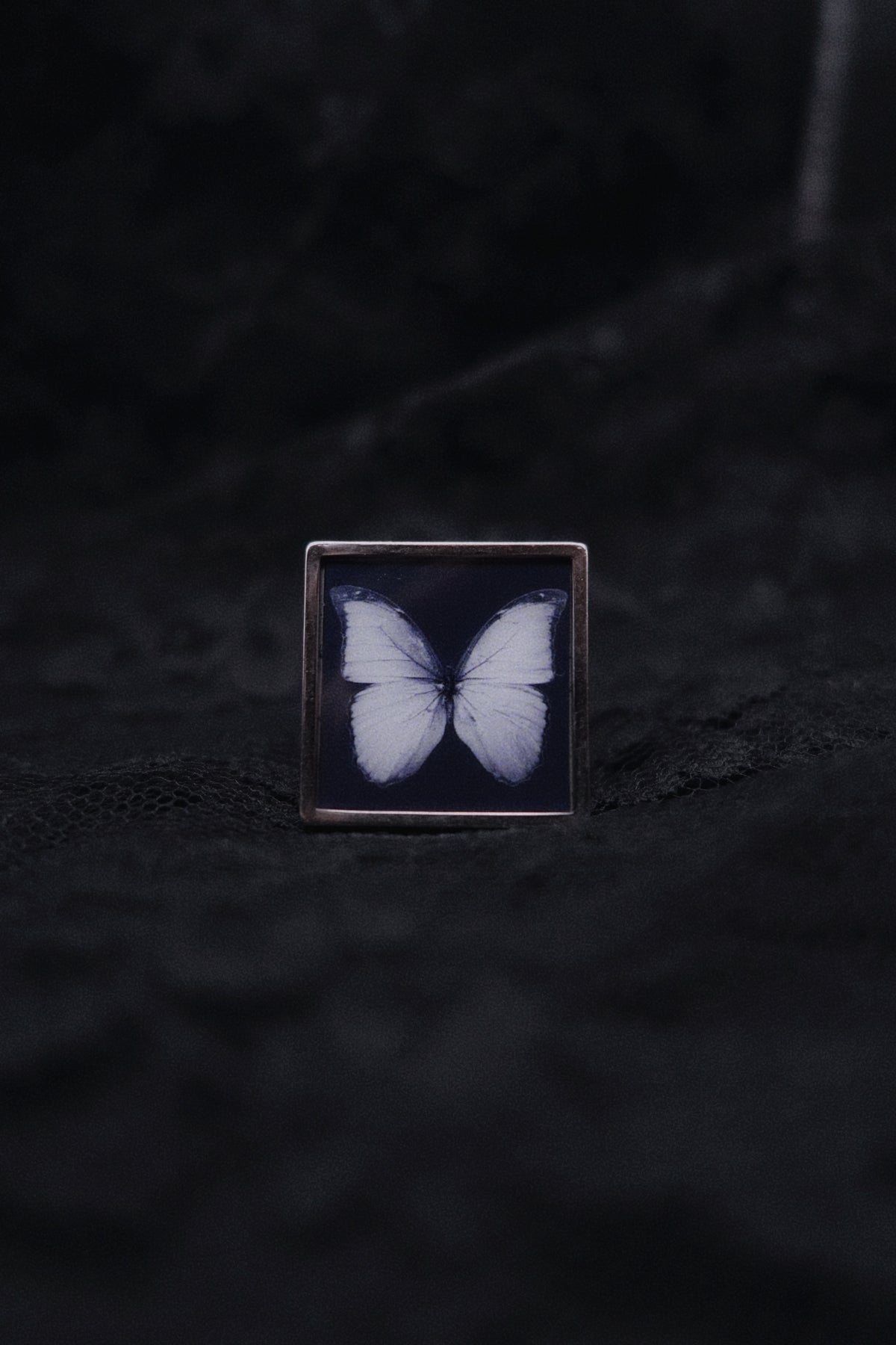 Bague papillon