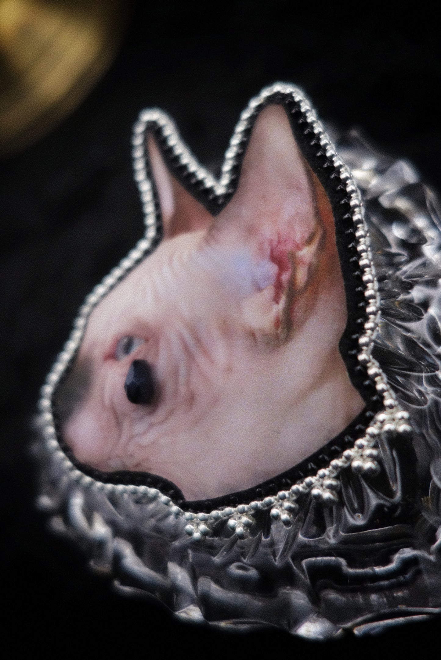 Broche chat