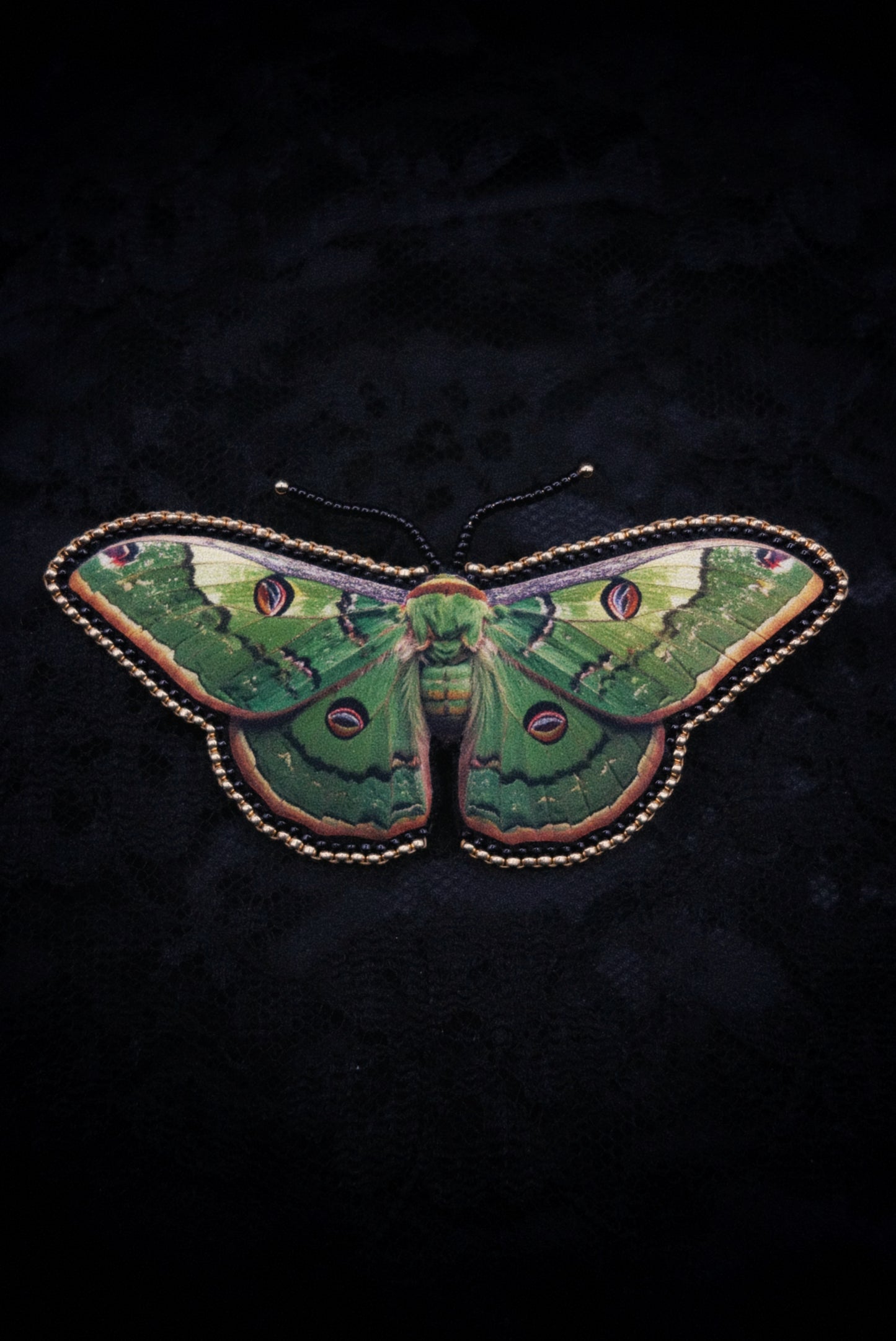 Broche papillon