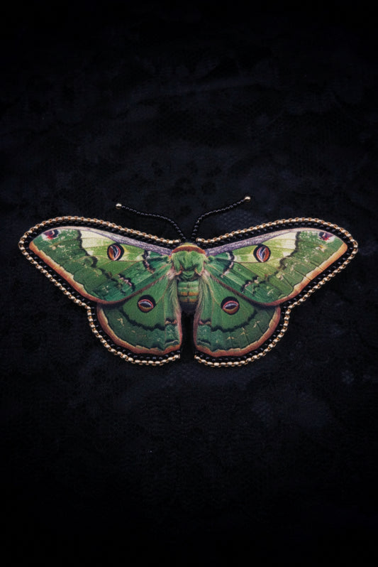 Broche papillon