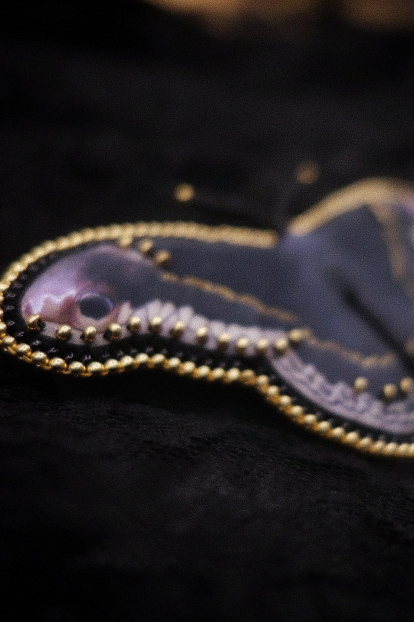 Broche papillon