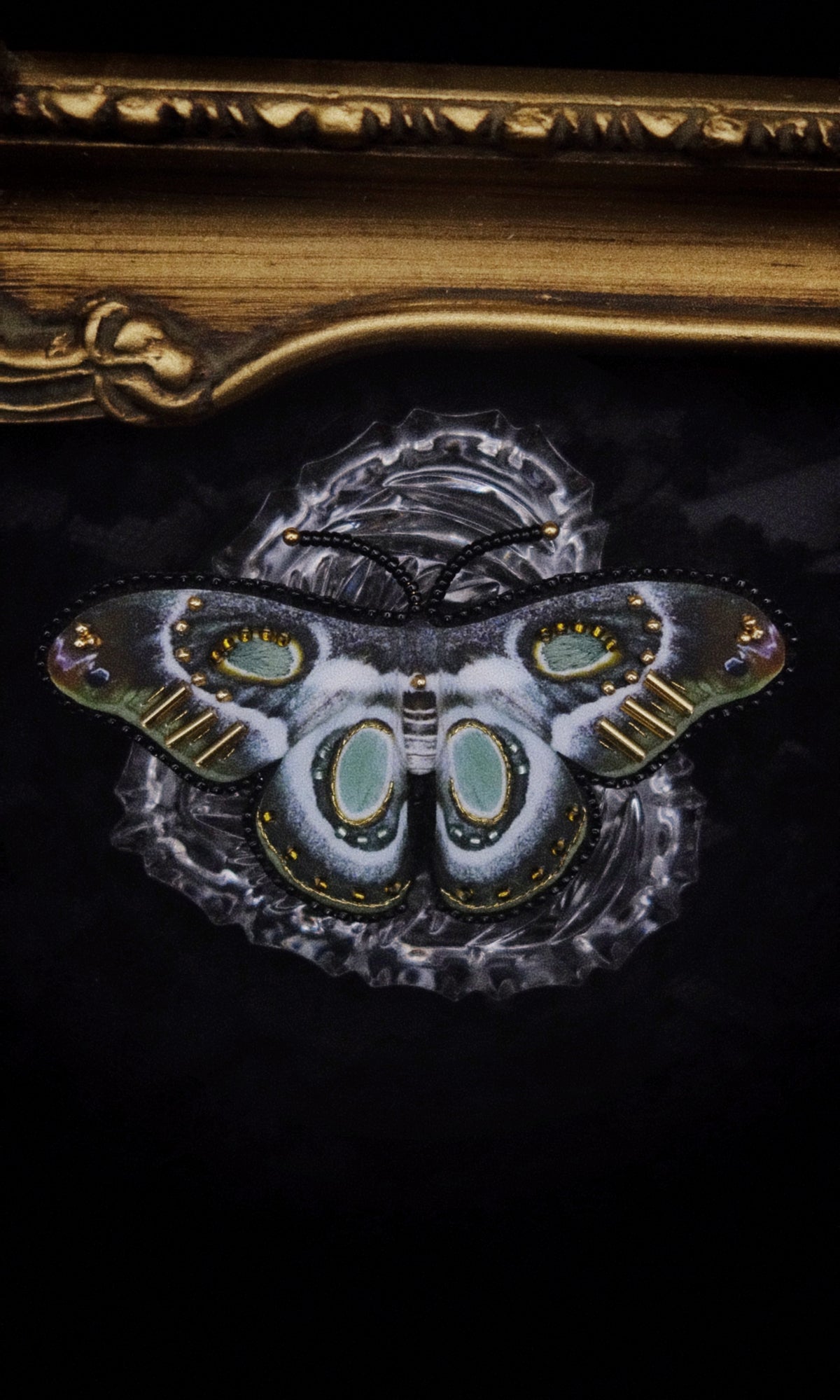 Broche papillon