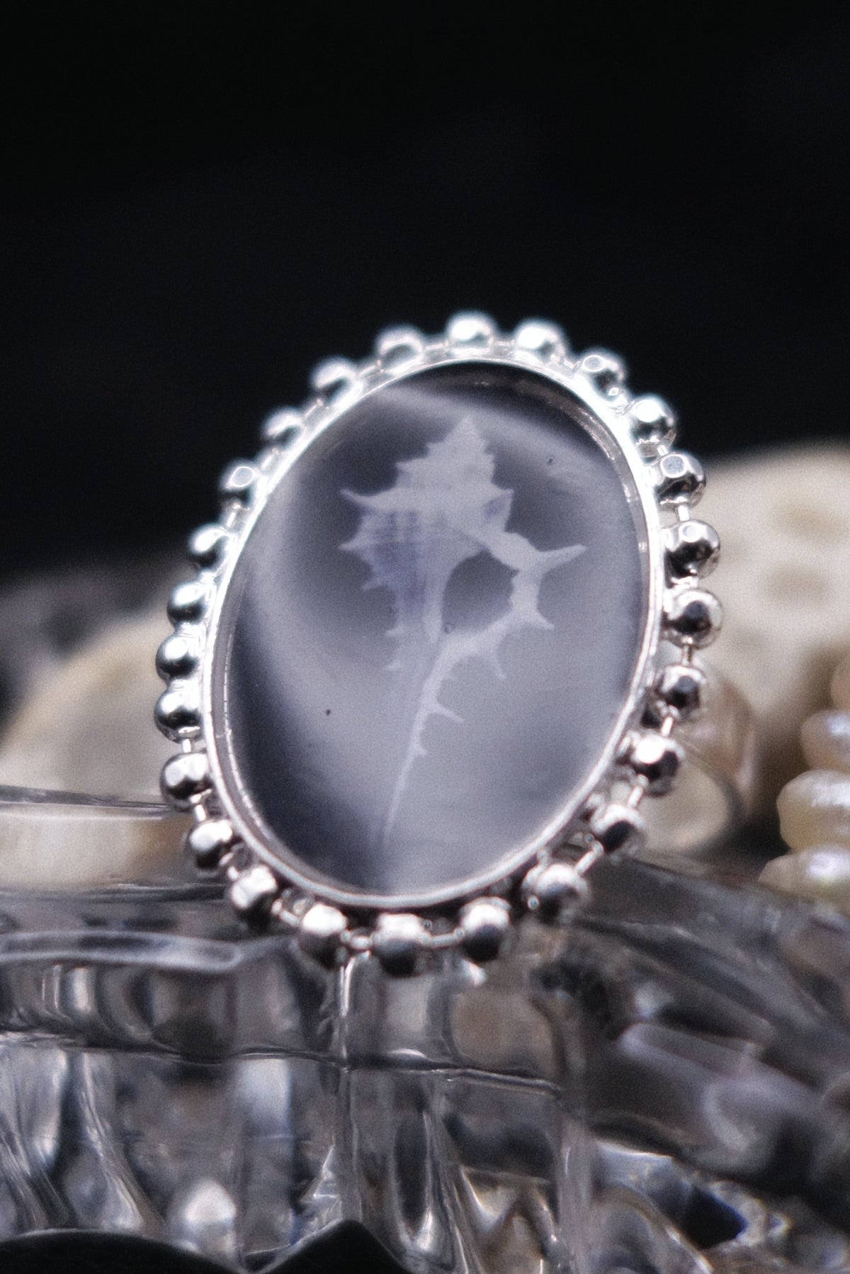 Bague coquillage