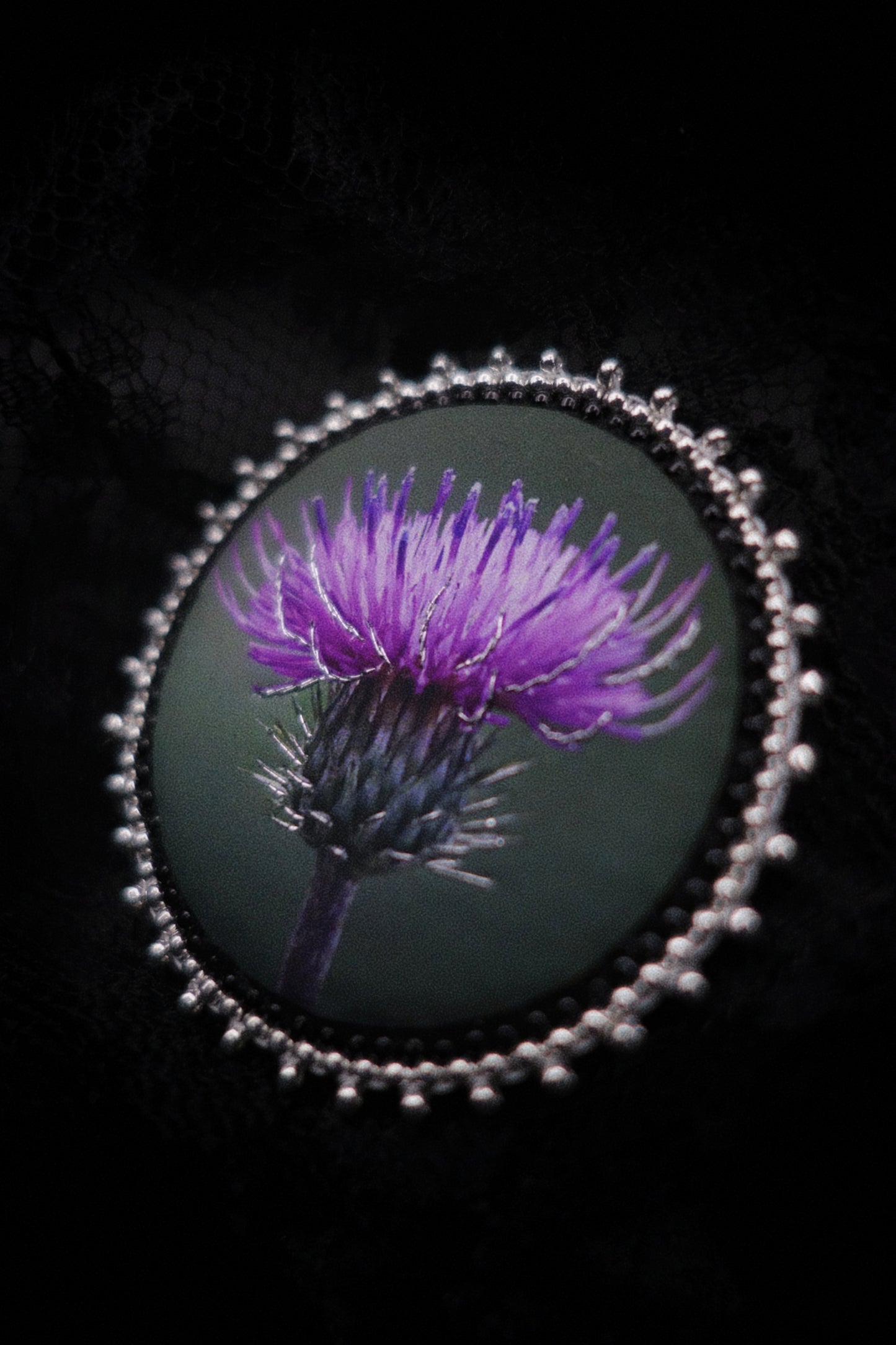 Broche chardon
