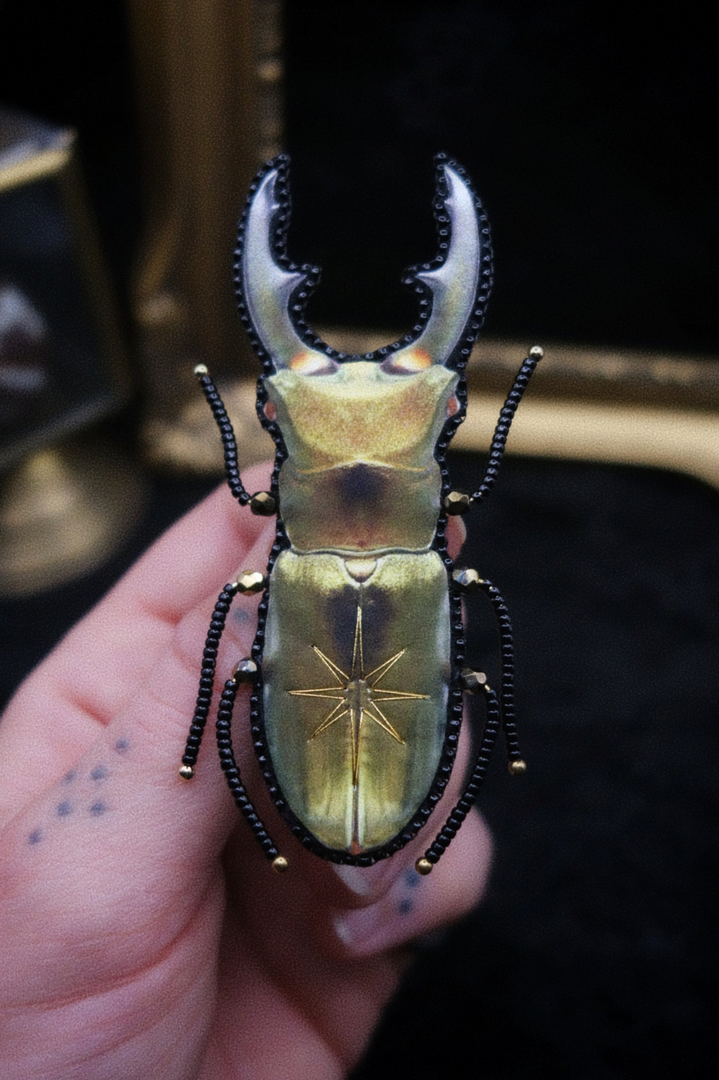Broche scarabée