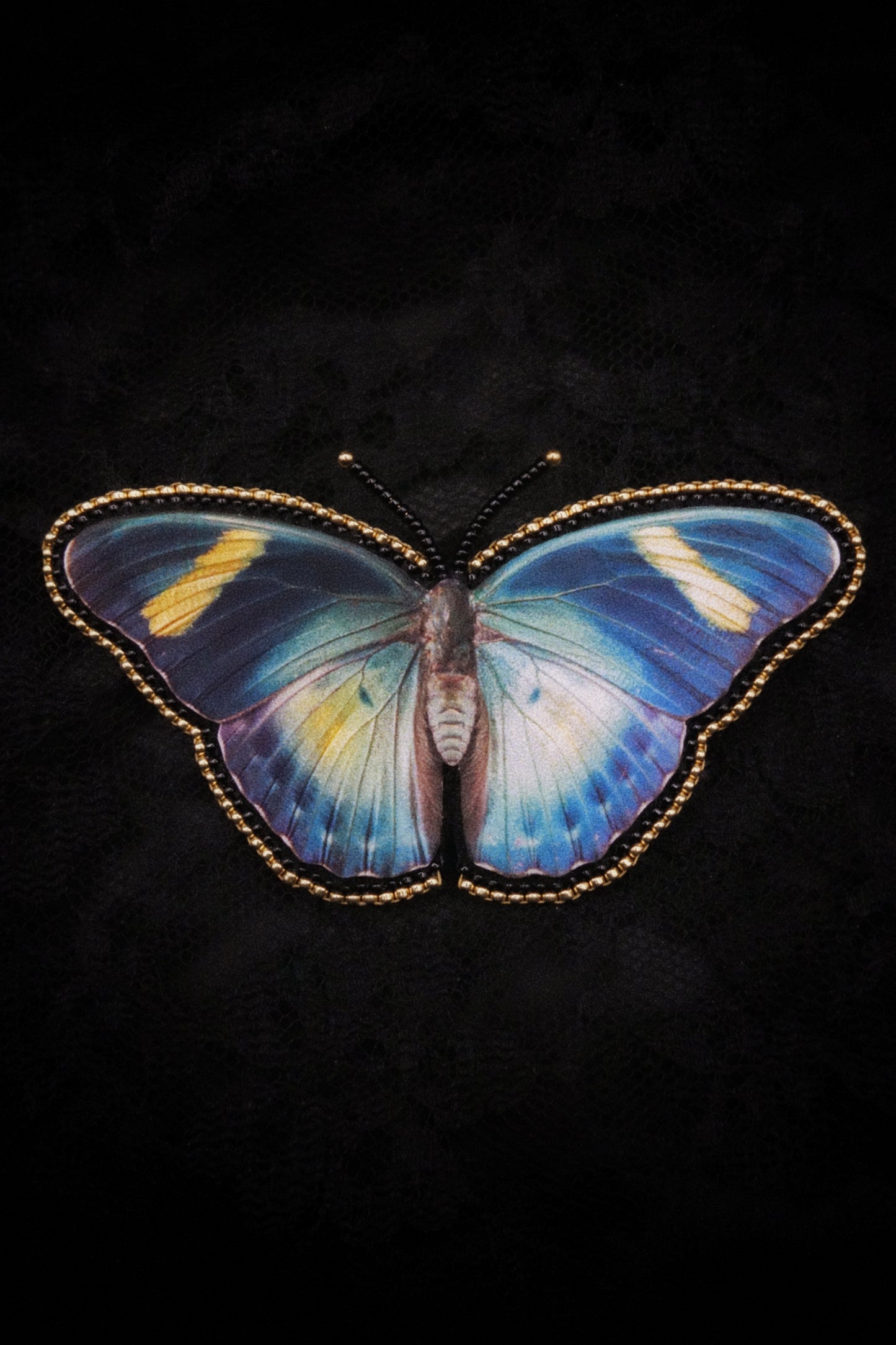 Broche papillon