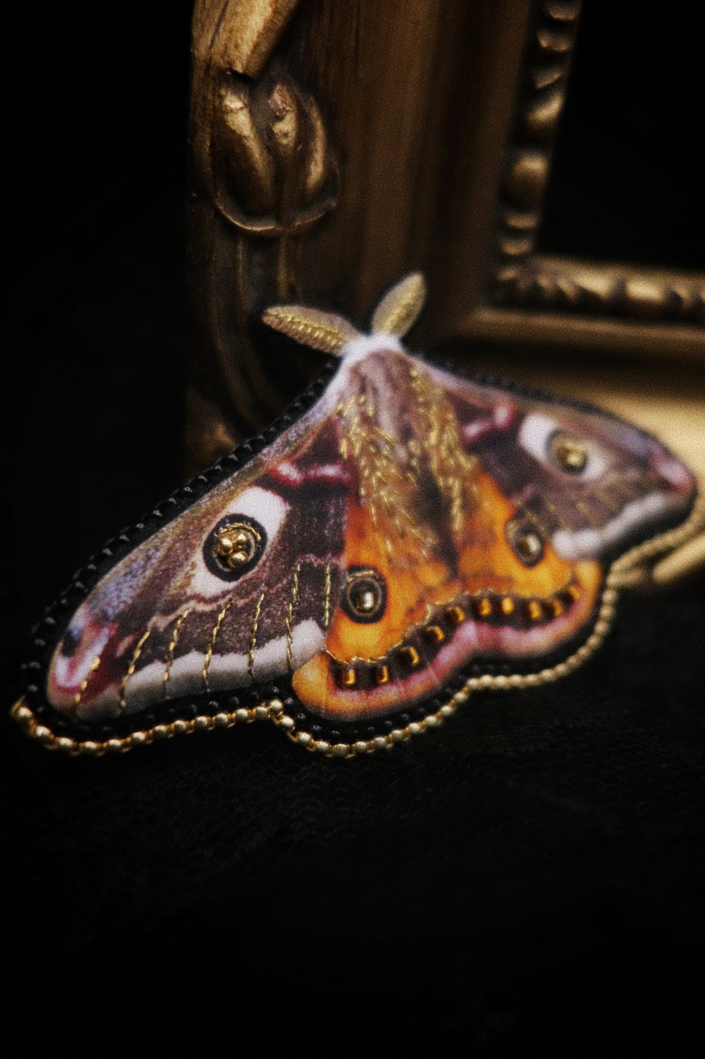 Broche papillon