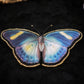 Broche papillon