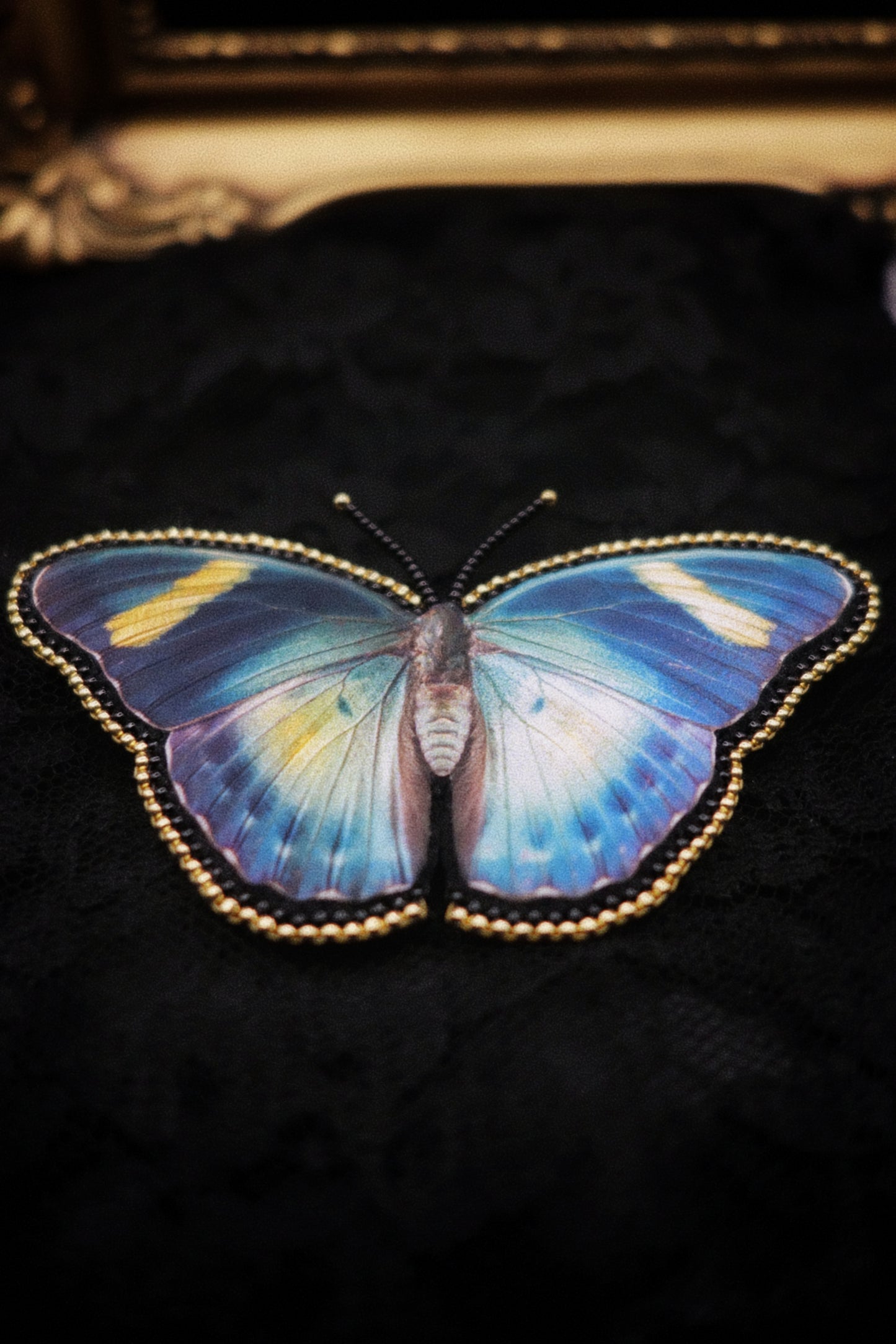 Broche papillon