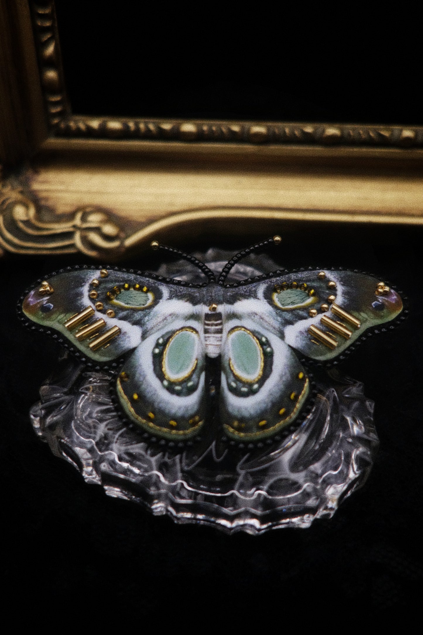 Broche papillon