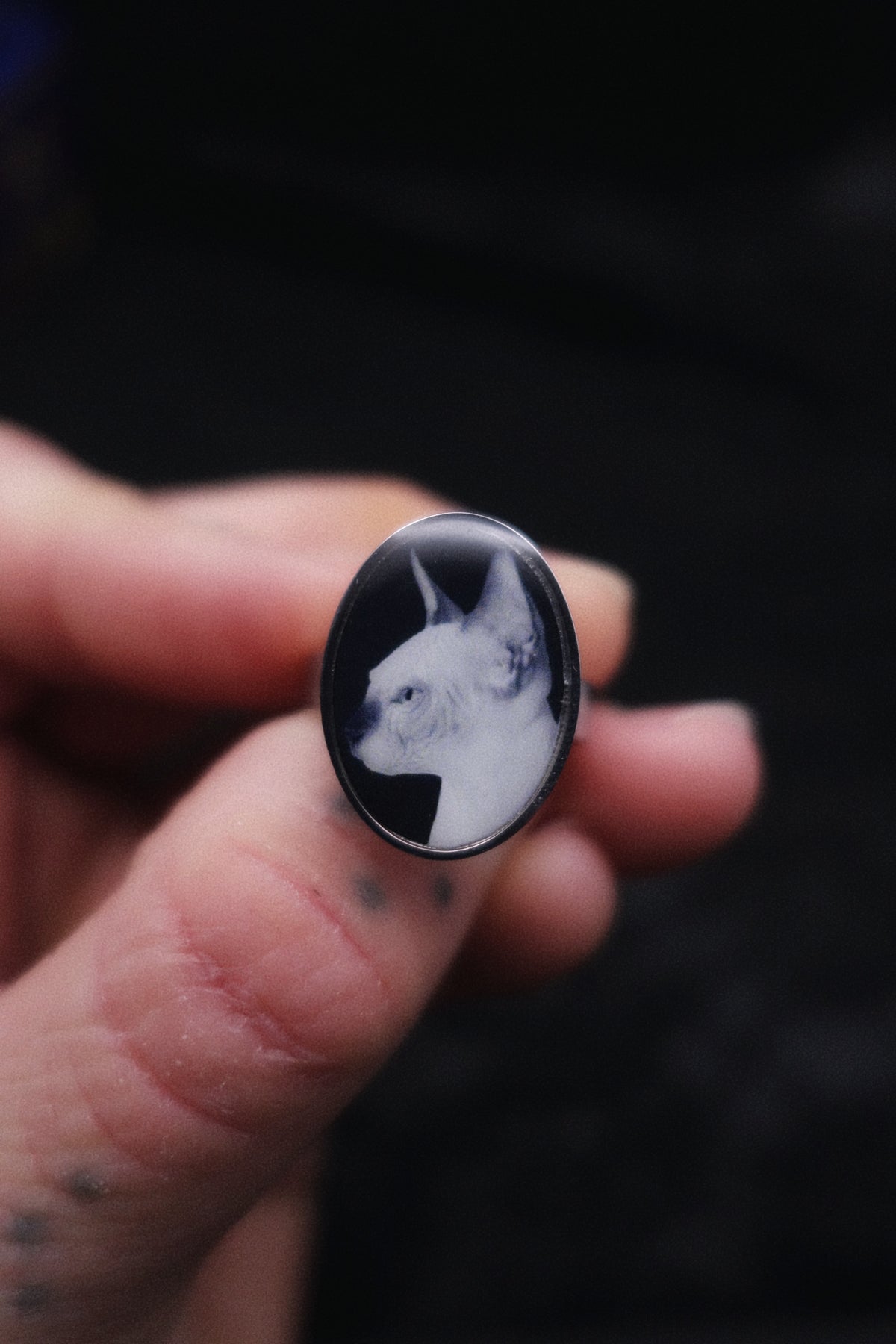 Bague chat