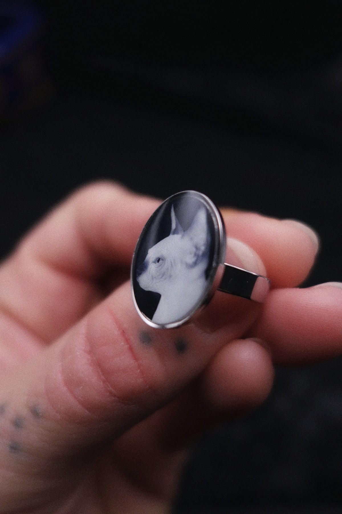 Bague chat