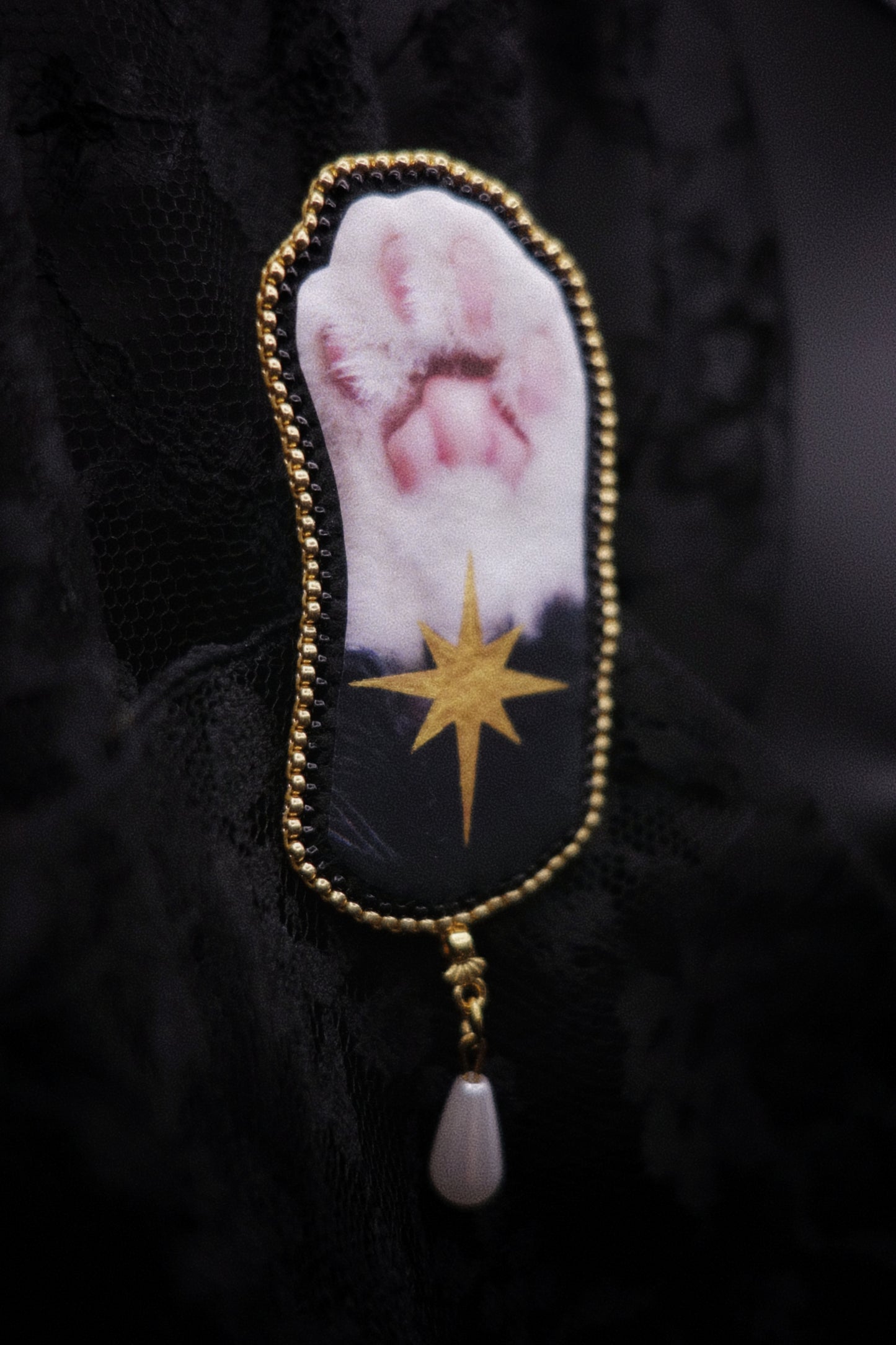 Broche patte de chat
