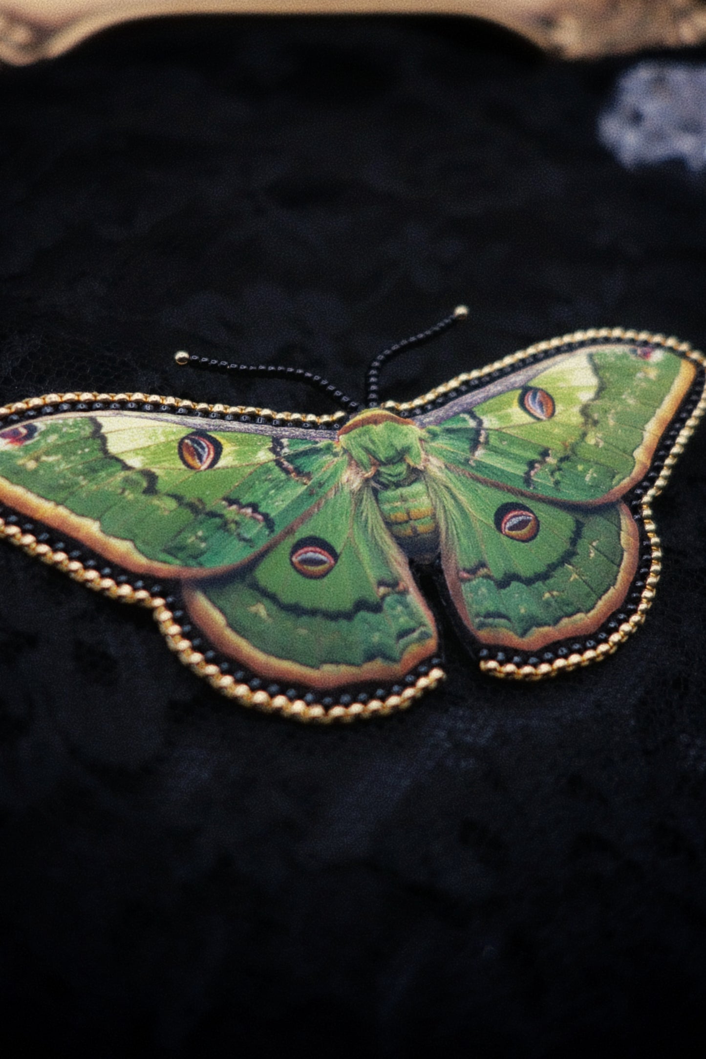 Broche papillon