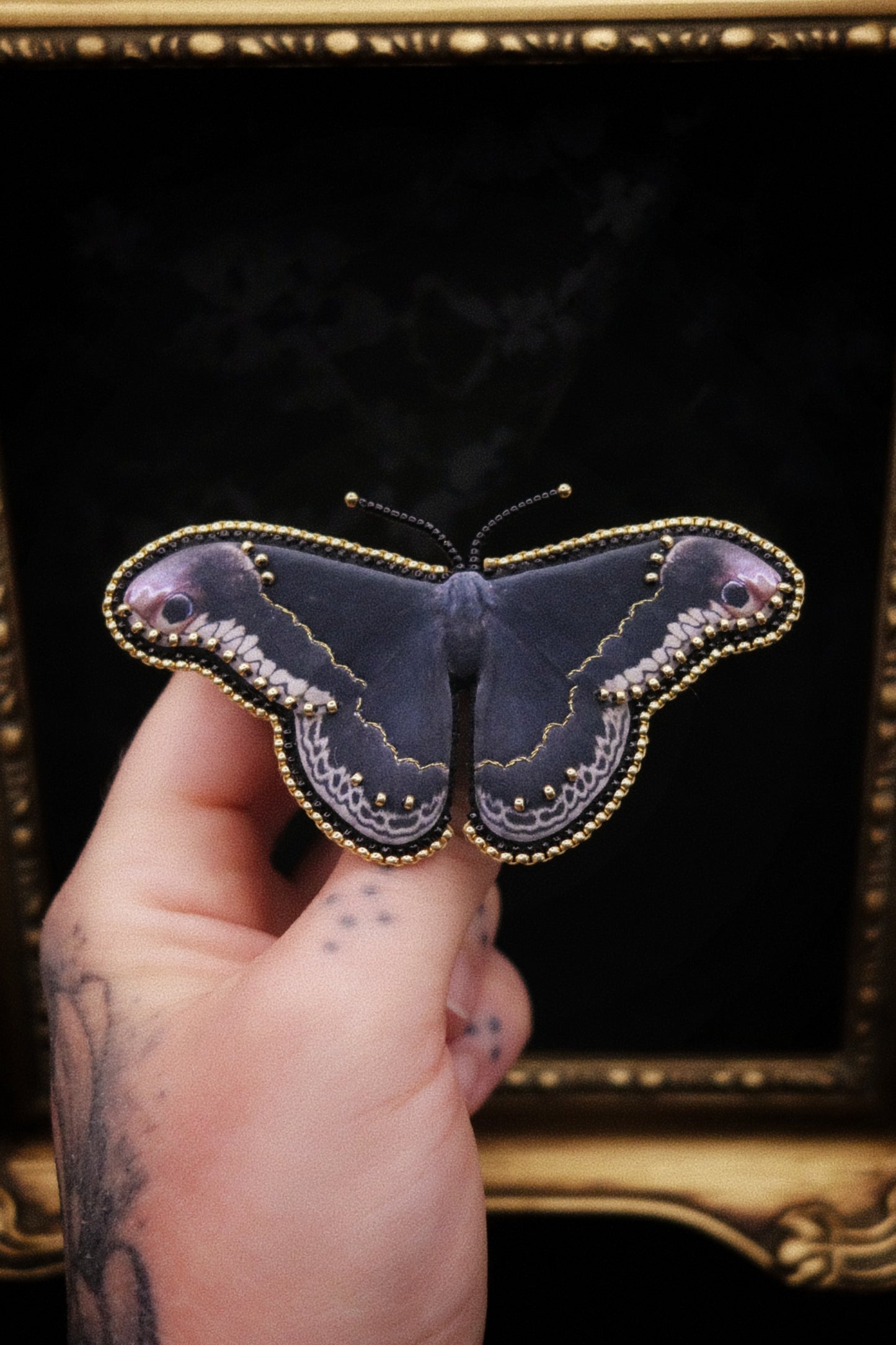 Broche papillon