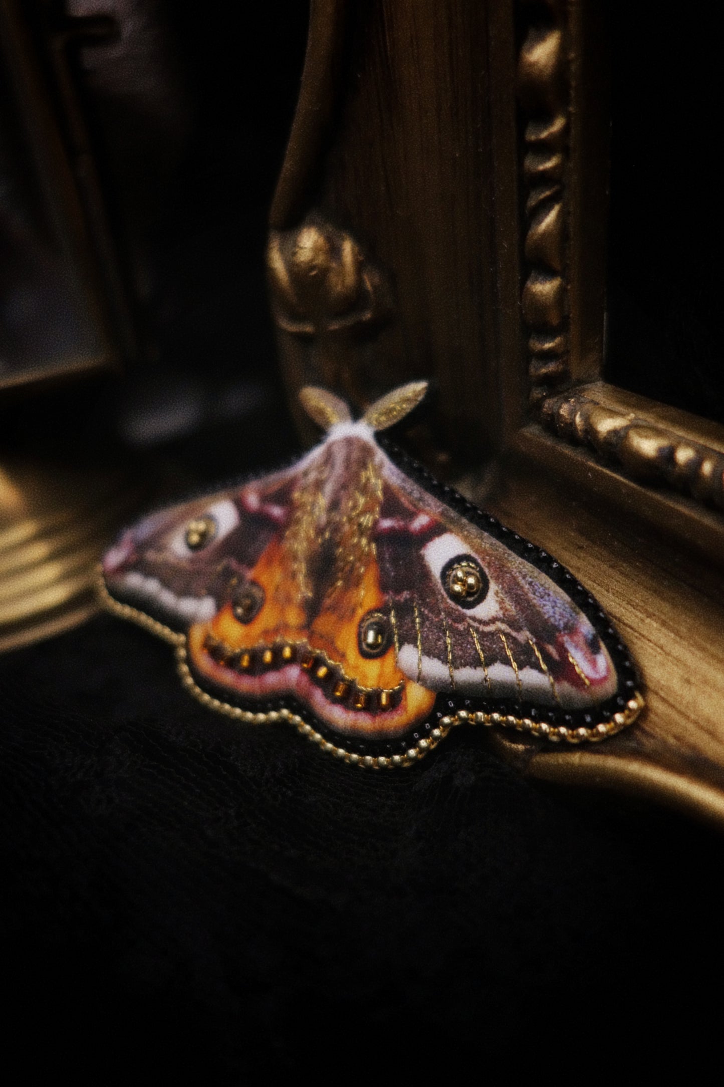 Broche papillon